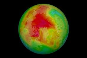 Arctic Ozone in Spring