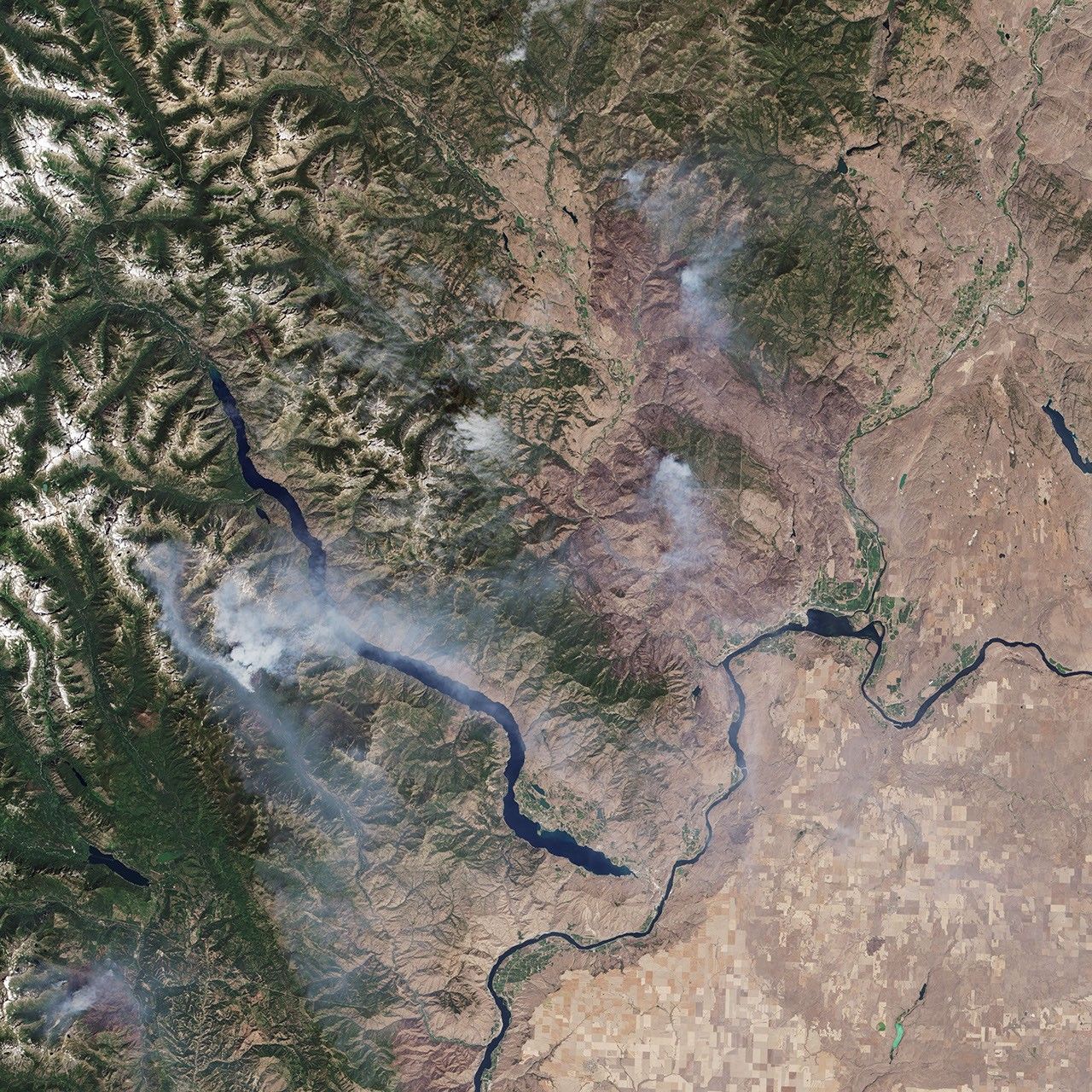 natural colour - July 31, 2014