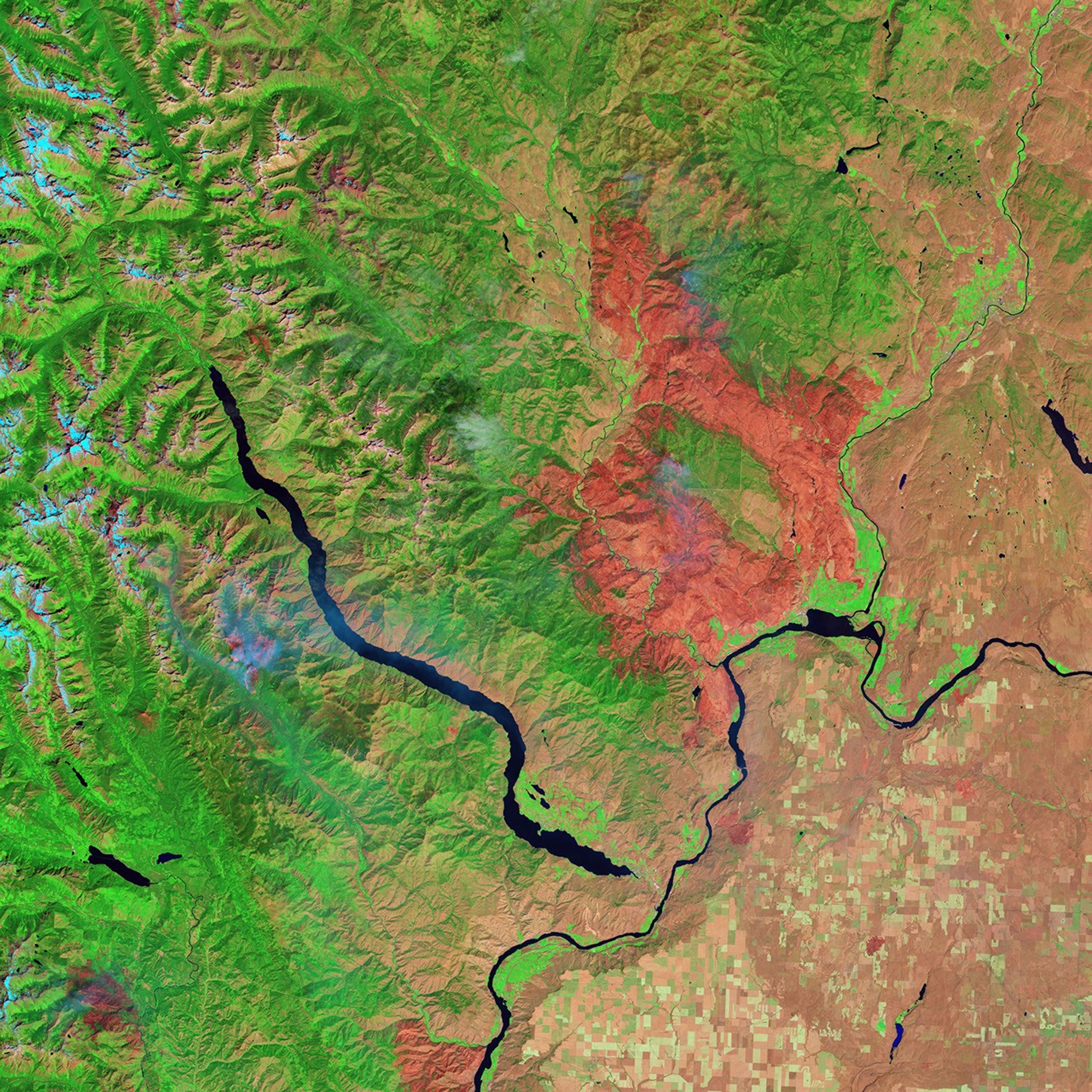 false color infrared - July 31, 2014