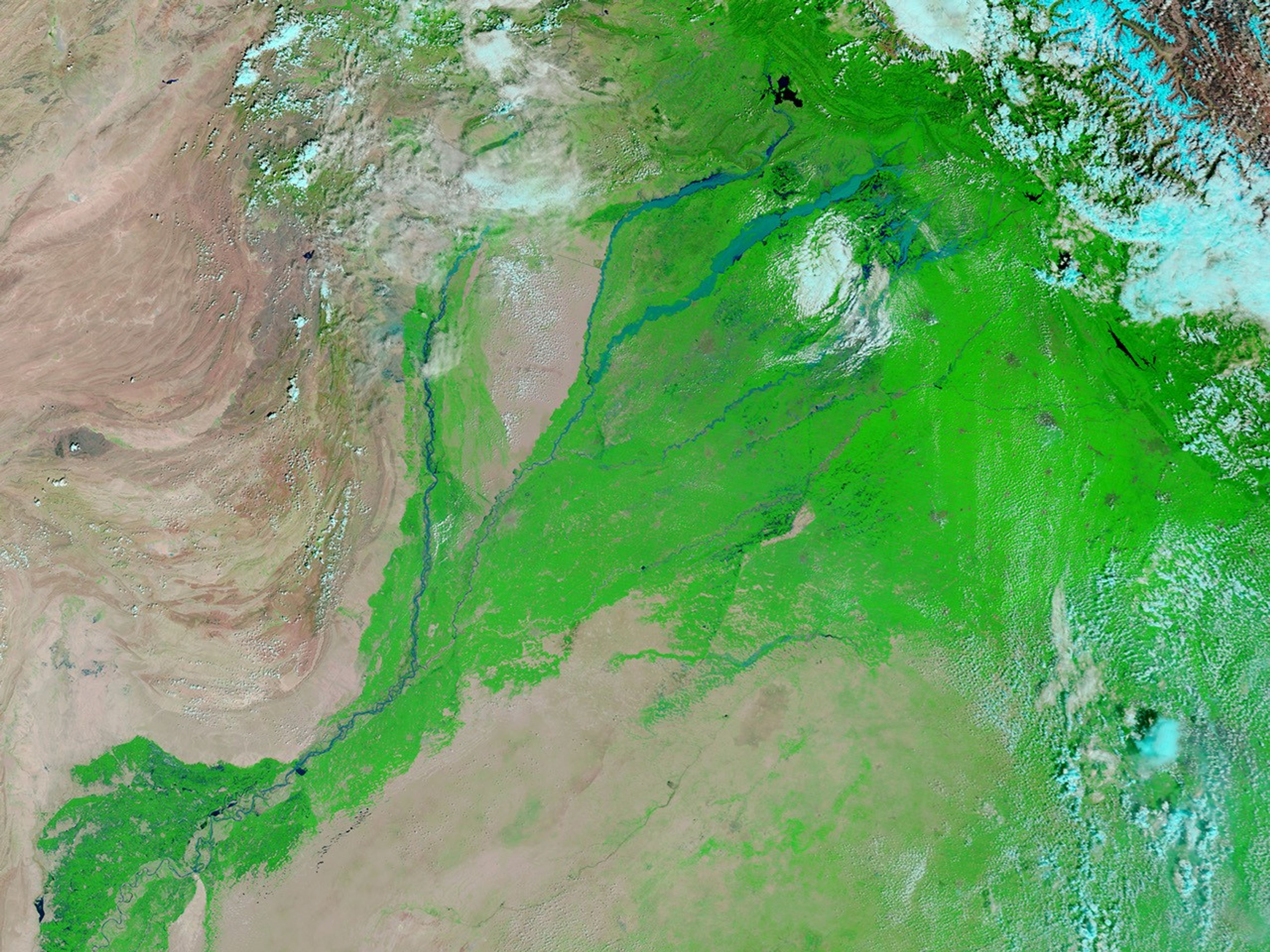 August 31 - September 7, 2014