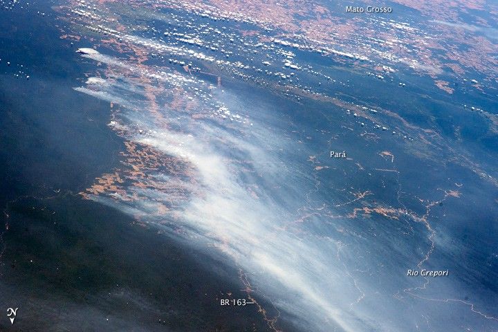 Amazon Forest Fires - NASA Science