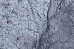 Dark Snow Project