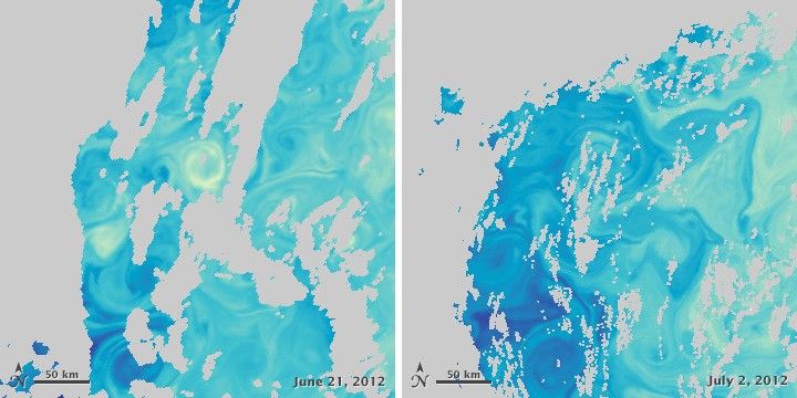 Demise of a Phytoplankton Bloom