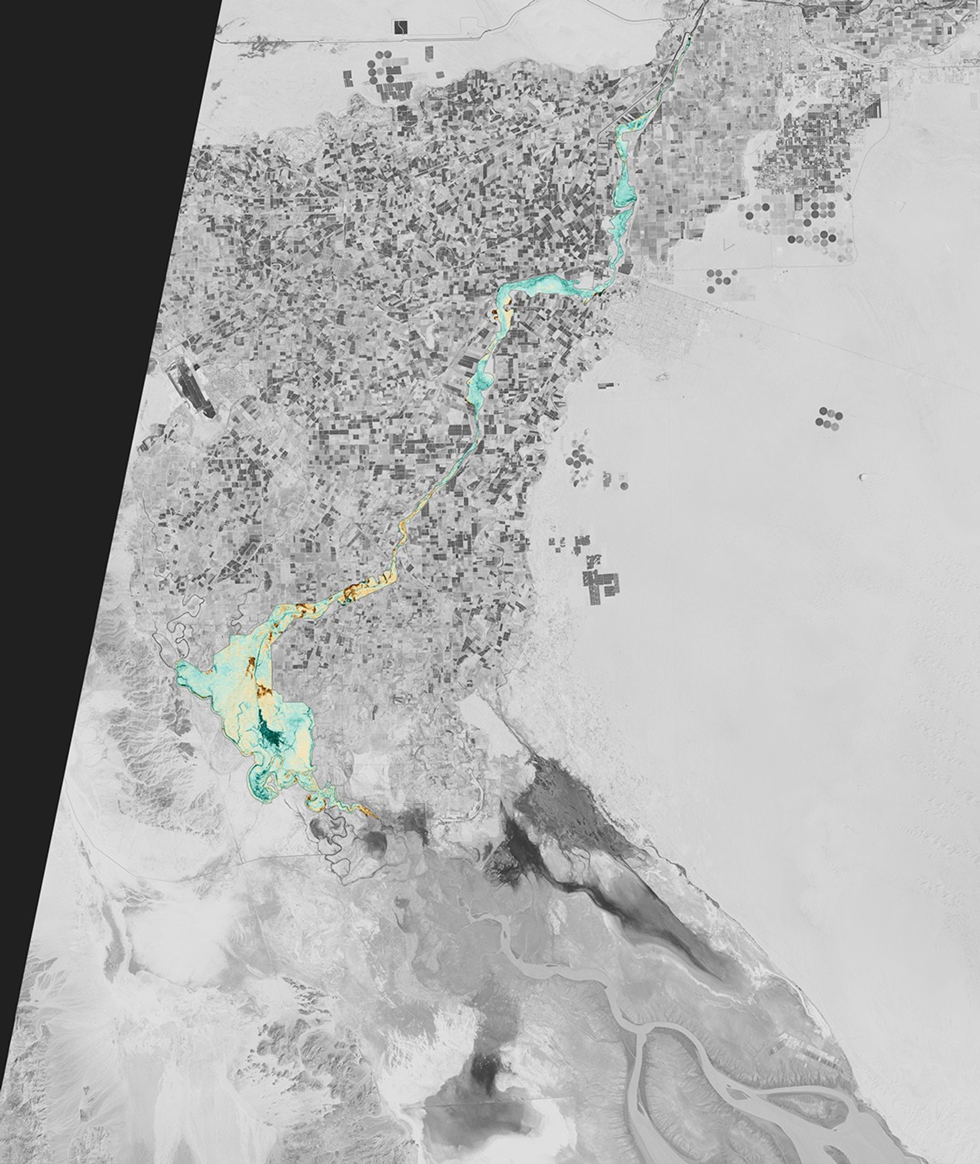 A Pulse of New Life on the Colorado River