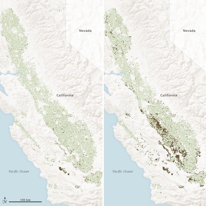 Satellites Spot Fields Idled by Drought