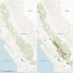 Satellites Spot Fields Idled by Drought