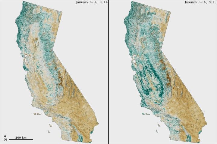 January 1 - 16, 2014