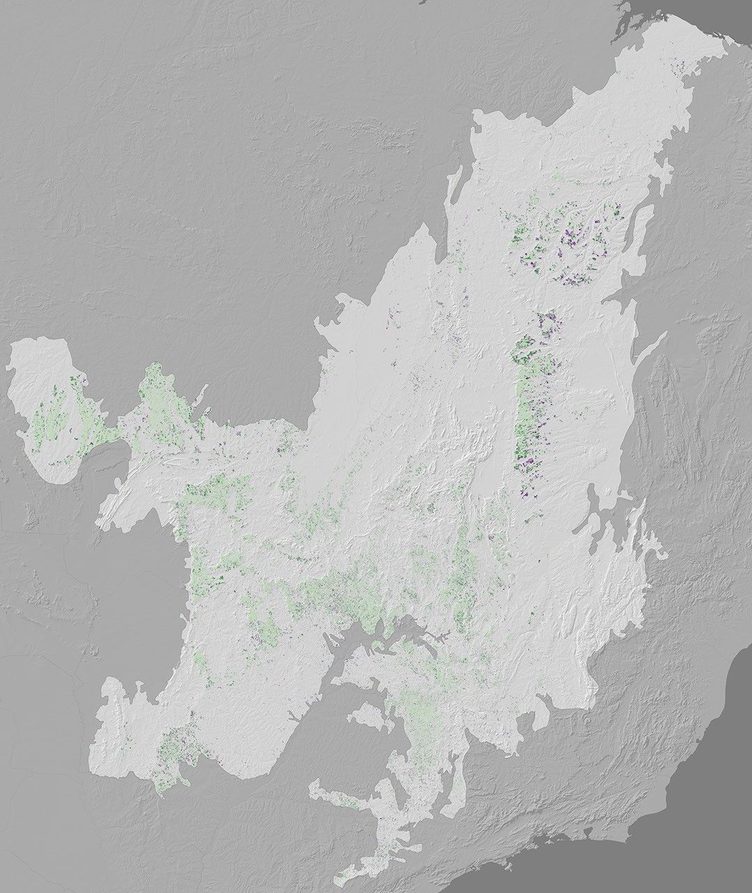 Soybeans in the Brazilian Cerrado