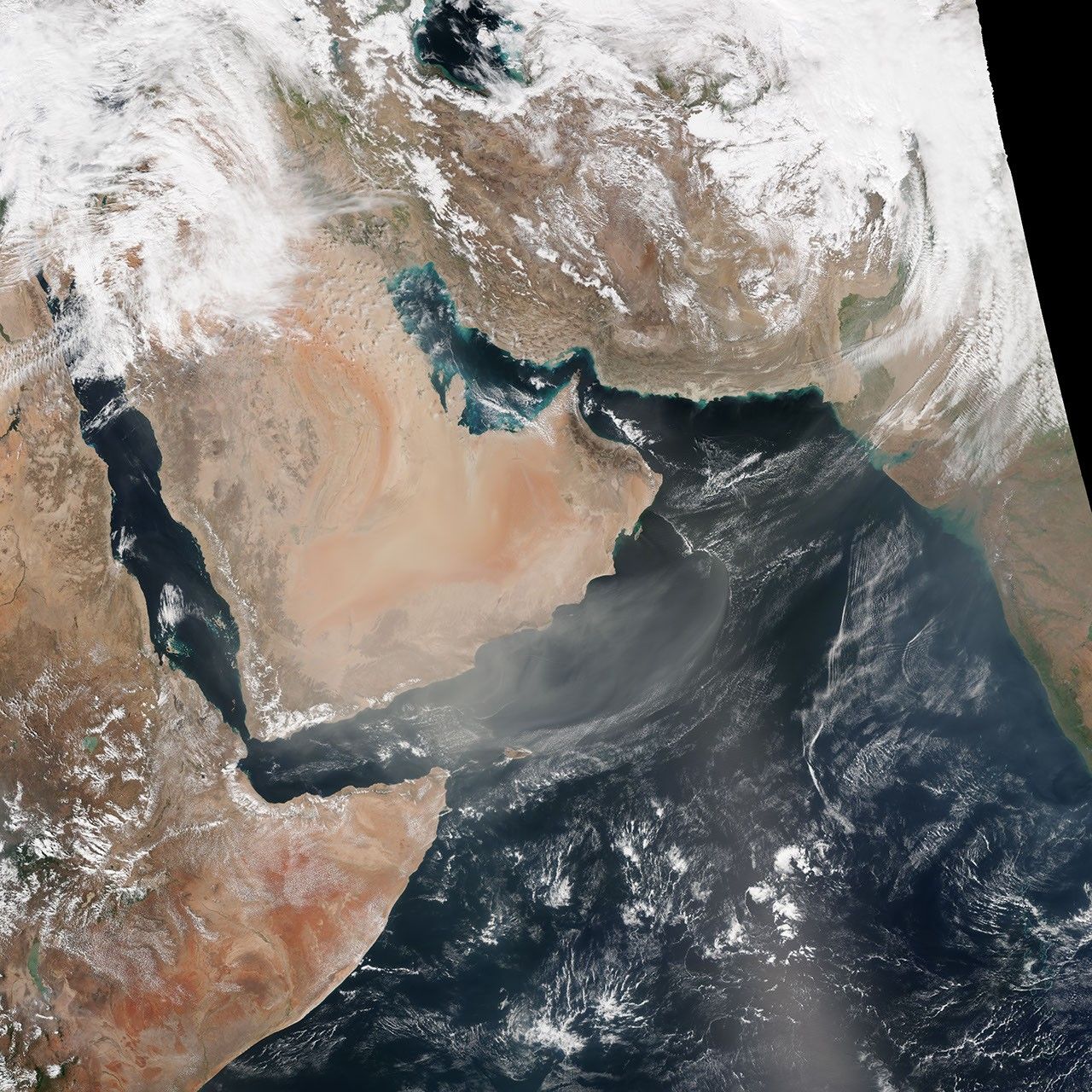 Persistent Dust Storms on the Southern Arabian Peninsula