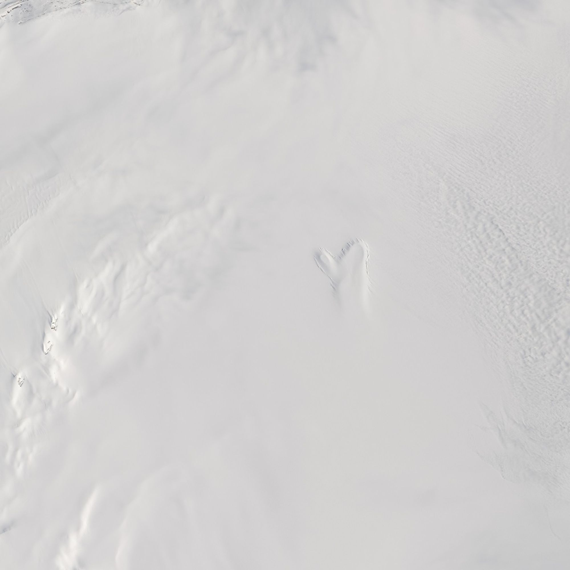 A Mitten Materializes in Greenland