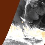 Longwave Infrared -