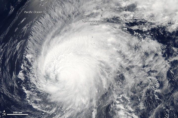 Typhoon Dolphin - NASA Science