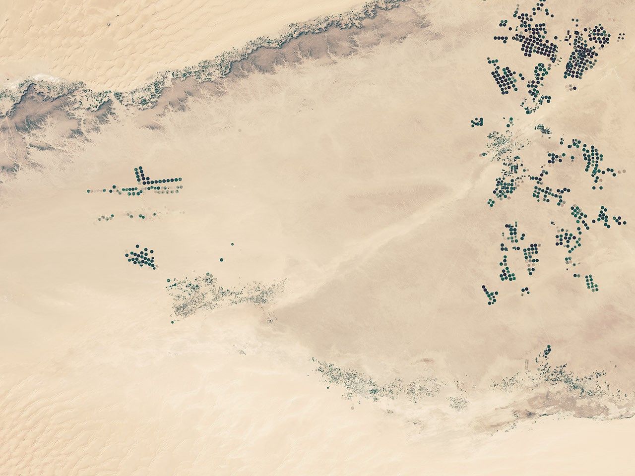 Seismic Surveying Grid in Libya