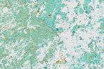 Changing Forest Cover Since the Soviet Era