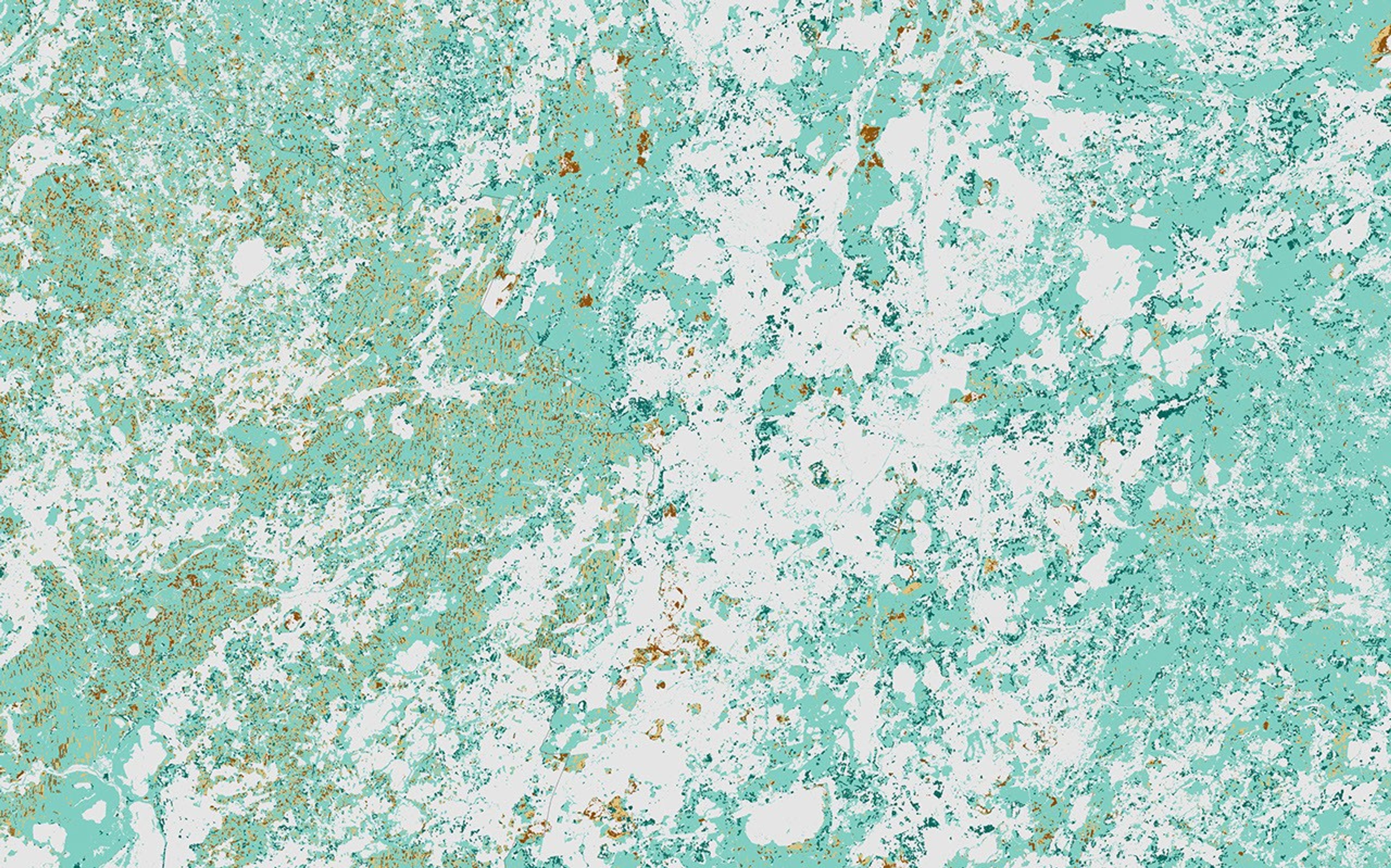 Changing Forest Cover Since the Soviet Era