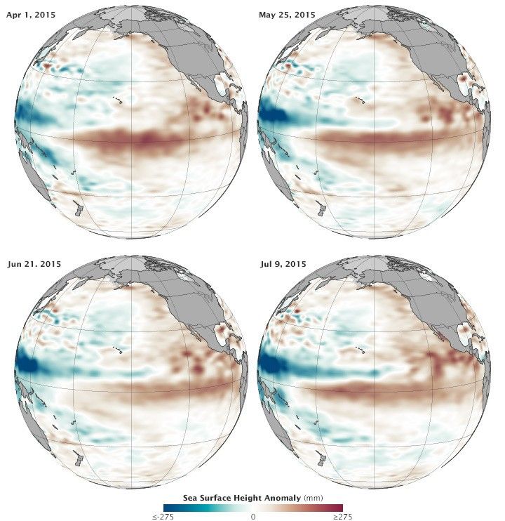 El Niño Conditions Are Growing Stronger