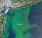 Blooms off Both North American Coasts