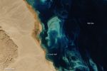 Establishing El Gouna