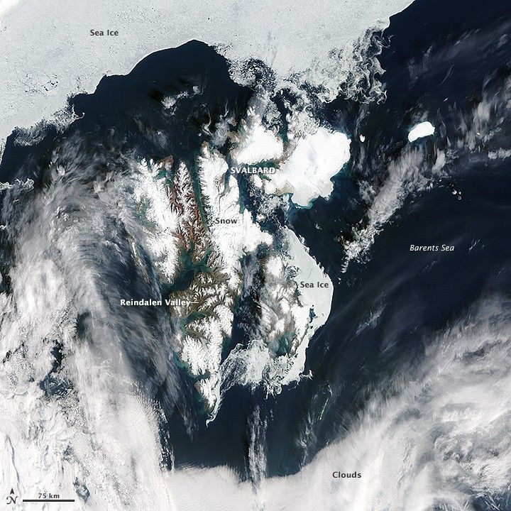 Using Satellites to Study Svalbard’s Growing Season
