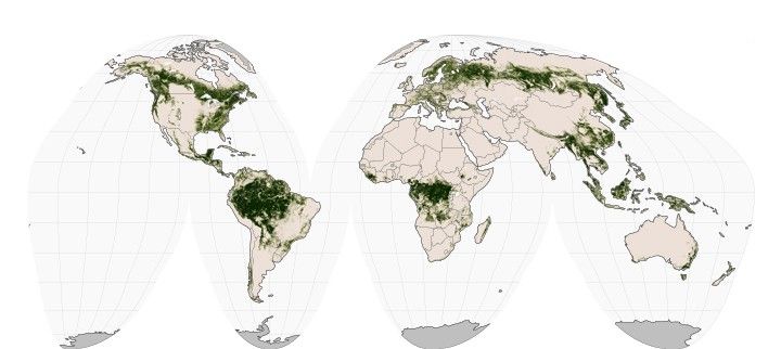 30 percent tree cover - 2000 - 2009