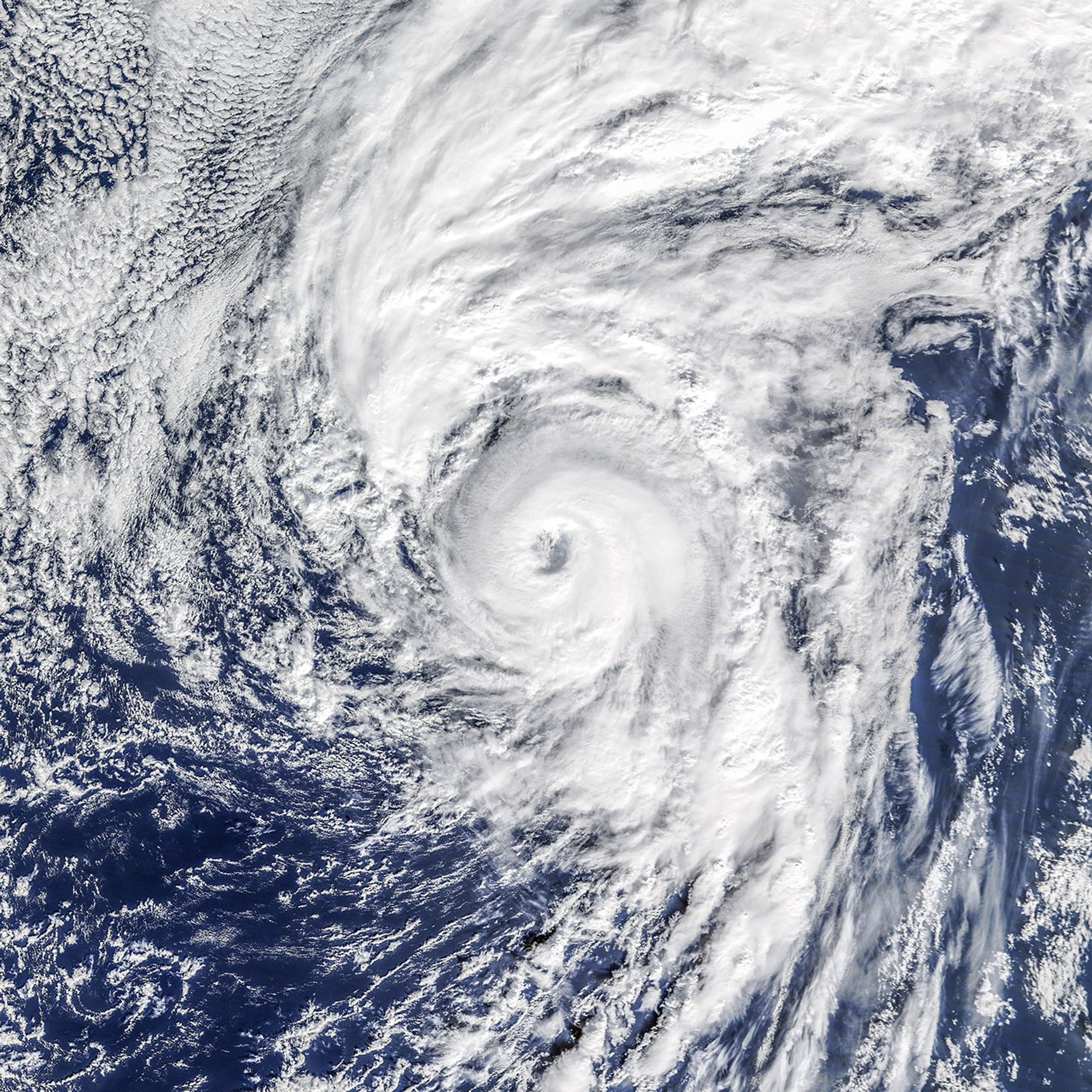An Atlantic Hurricane…in January