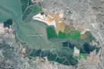 From Salt Production to Salt Marsh