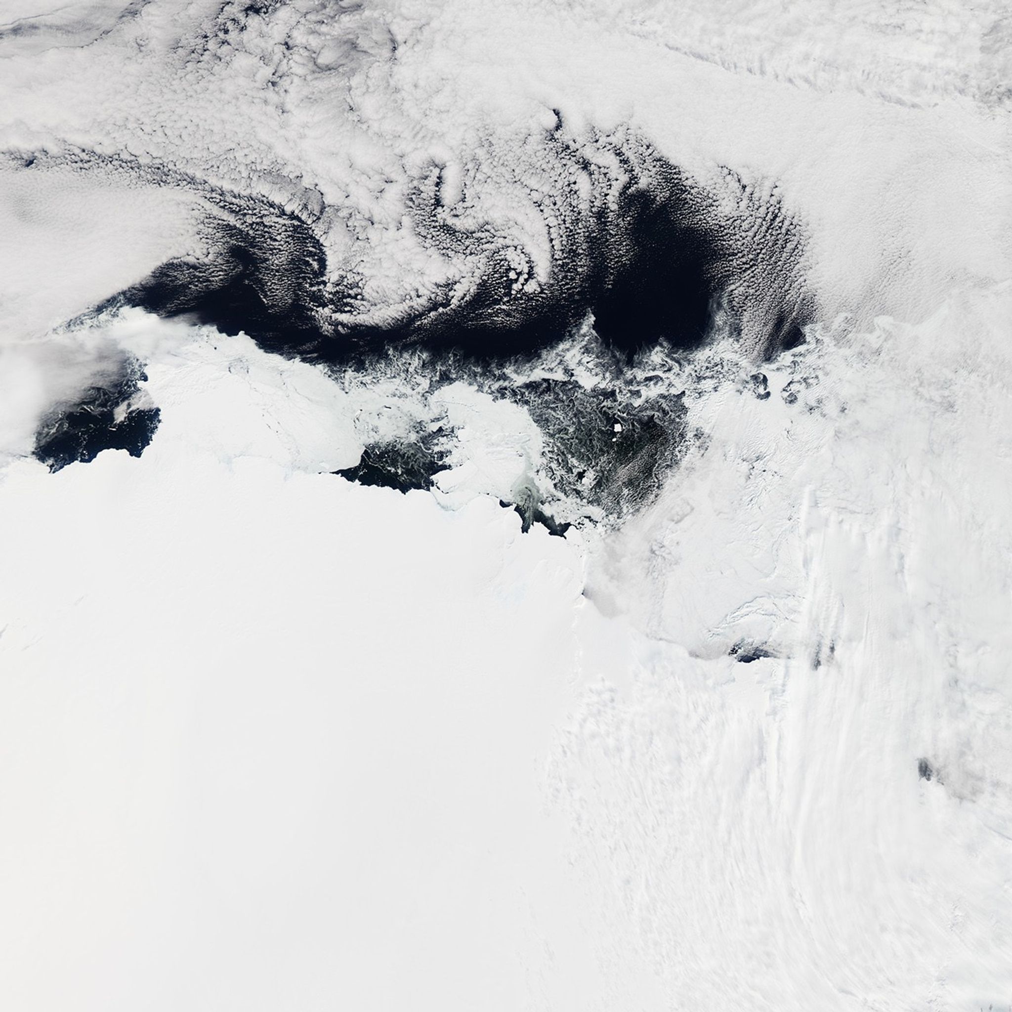 Antarctic Berg Shifts, Sea Ice Responds - NASA Science