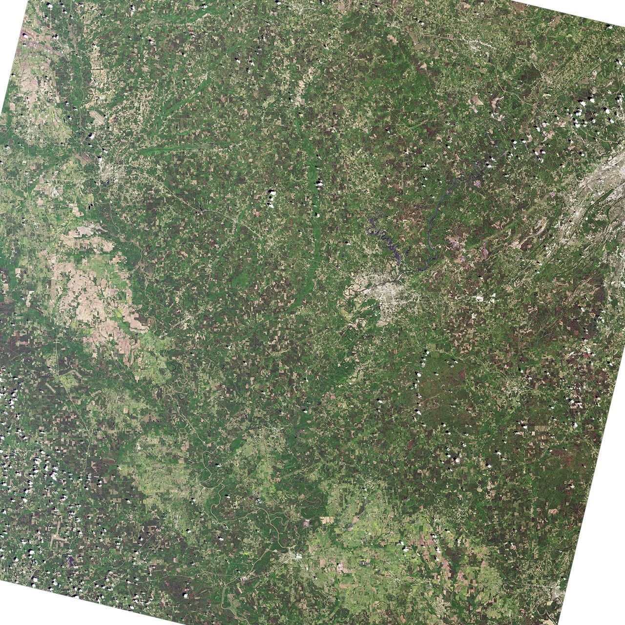 Tuscaloosa Tornado Track Fades