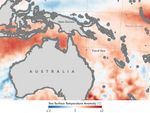 Warm Seas Lead to Extensive Coral Bleaching