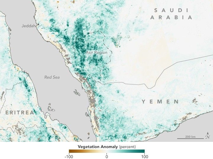 Arabian Peninsula Primed for Rift Valley Fever