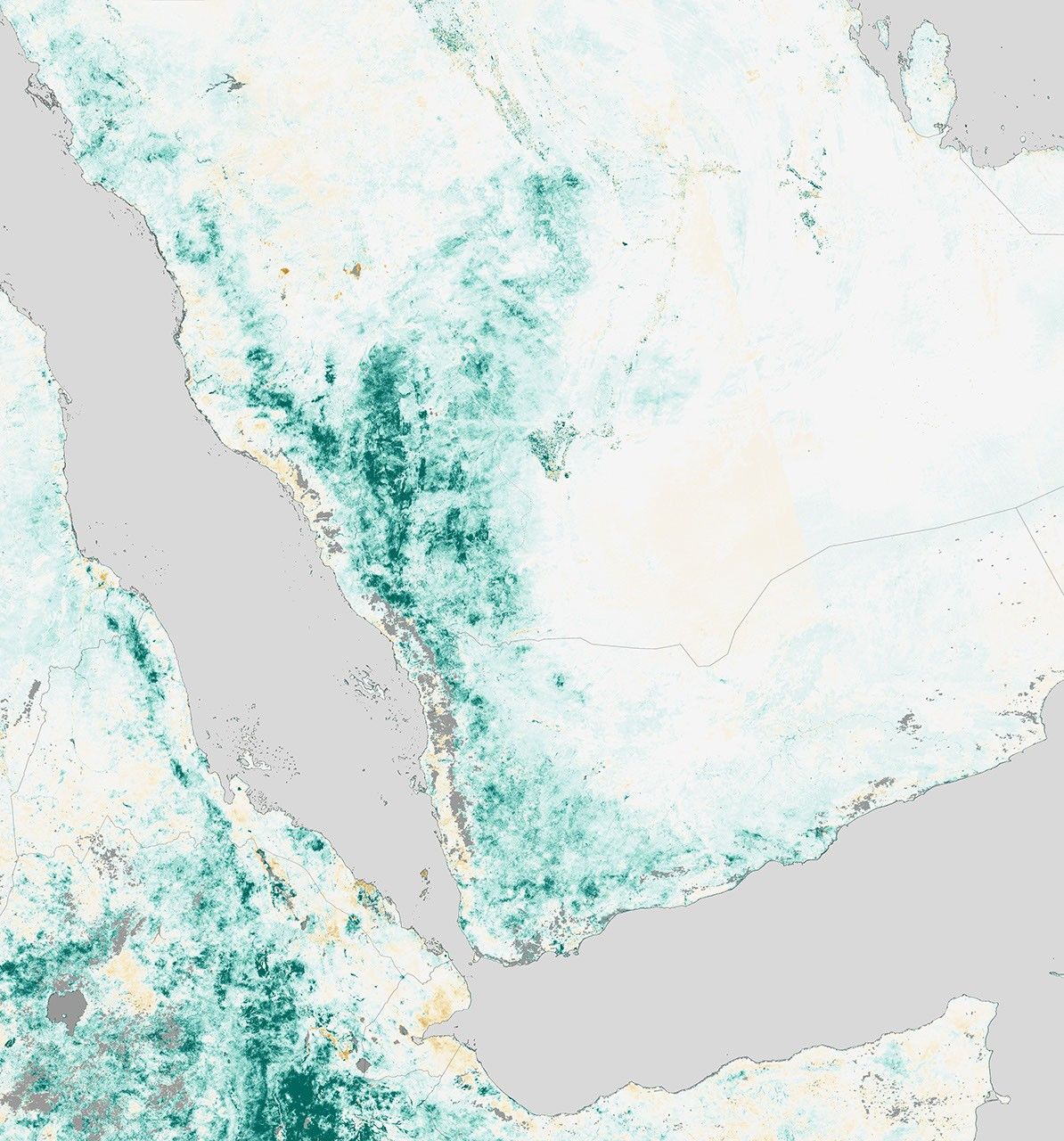 Arabian Peninsula Primed for Rift Valley Fever
