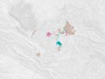 Feral Cats Forage at Burn Scars - related image preview