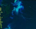 2016-06-12 00:00:00