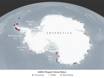 Climate Change May Shift or Shrink Penguin Habitat