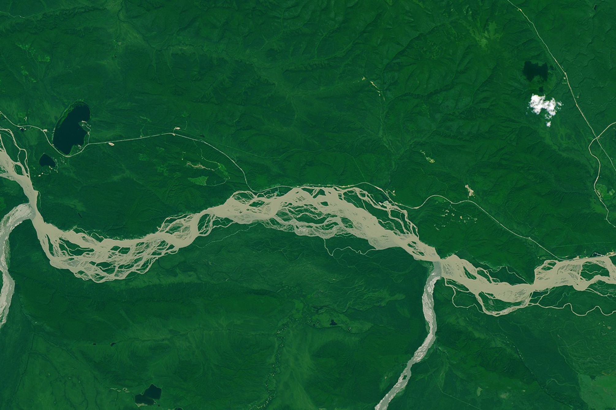 Shining a G-LiHT on an Alaskan Forest