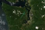 Bloom in Hood Canal, Washington