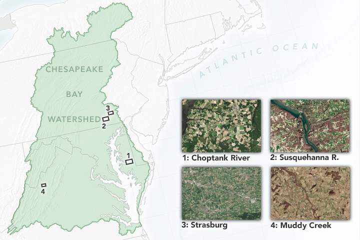 How Farms Affect the Chesapeake Bay’s Water