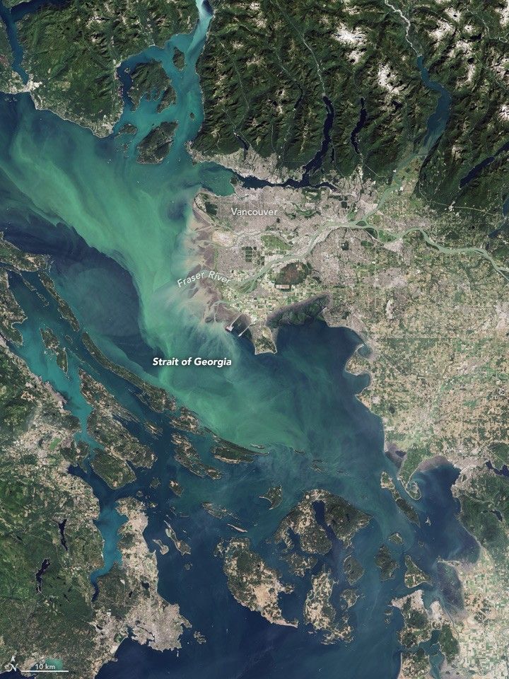 Canadian Waters Teem with Phytoplankton