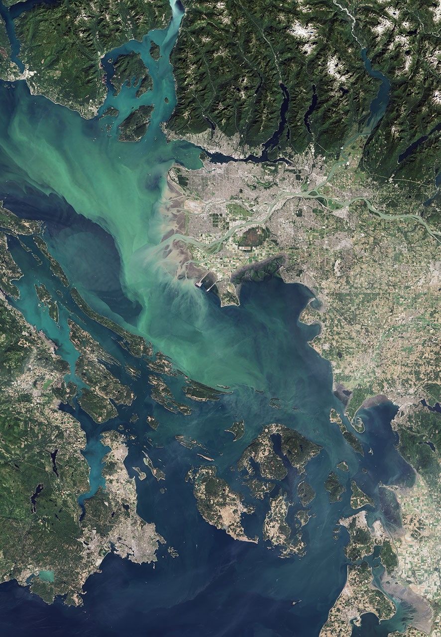 Canadian Waters Teem with Phytoplankton