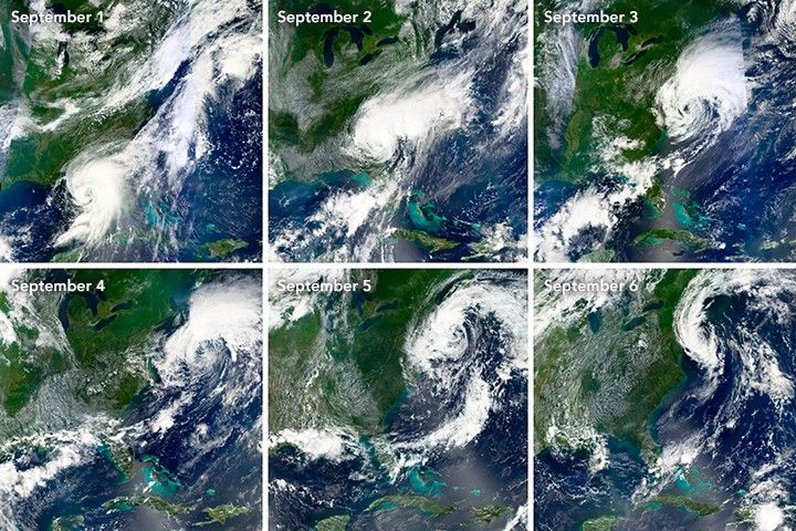 The Evolution of Hurricane Hermine