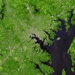 How Cities and Suburbs Affect Chesapeake Bay