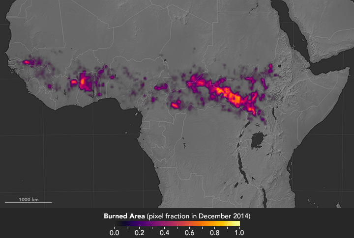 December 1 - 31, 2014