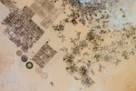 2016-10-22 00:00:00