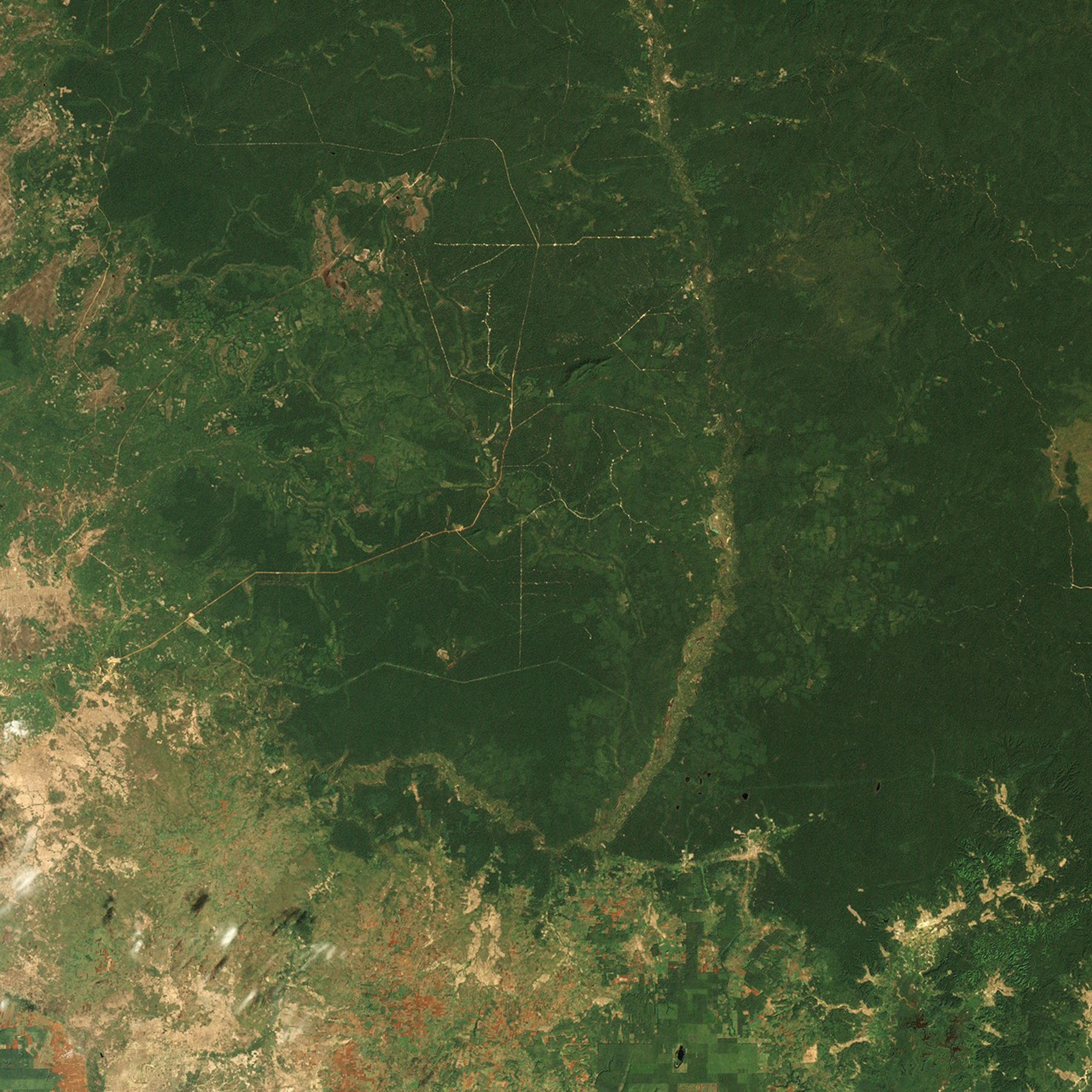 Cambodia’s Forests Are Disappearing