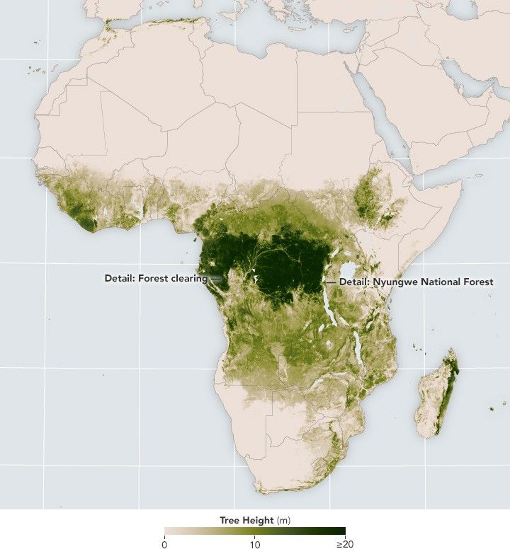 Cutting into Africa’s Green Heart