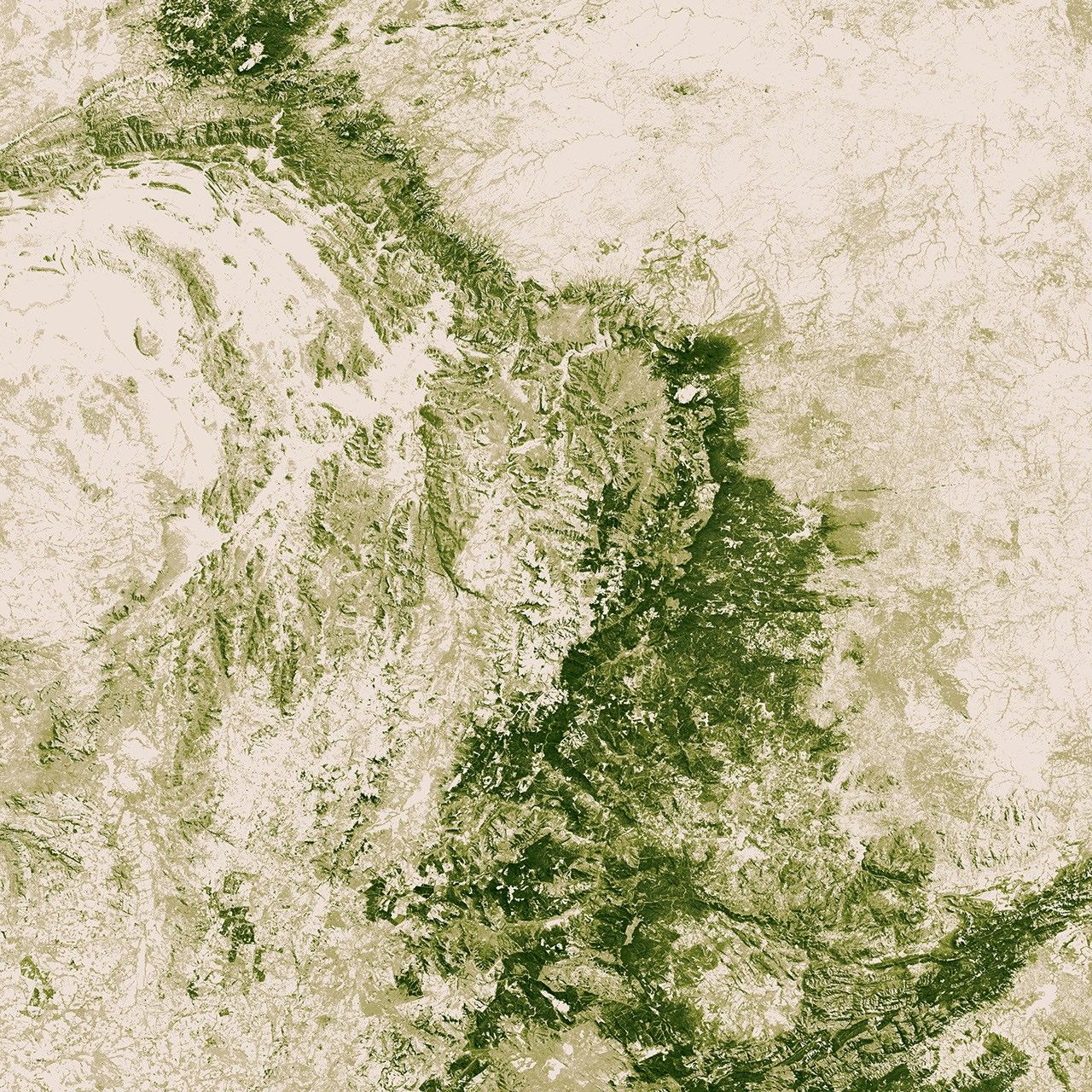 South Africa’s ‘Brown Gold’