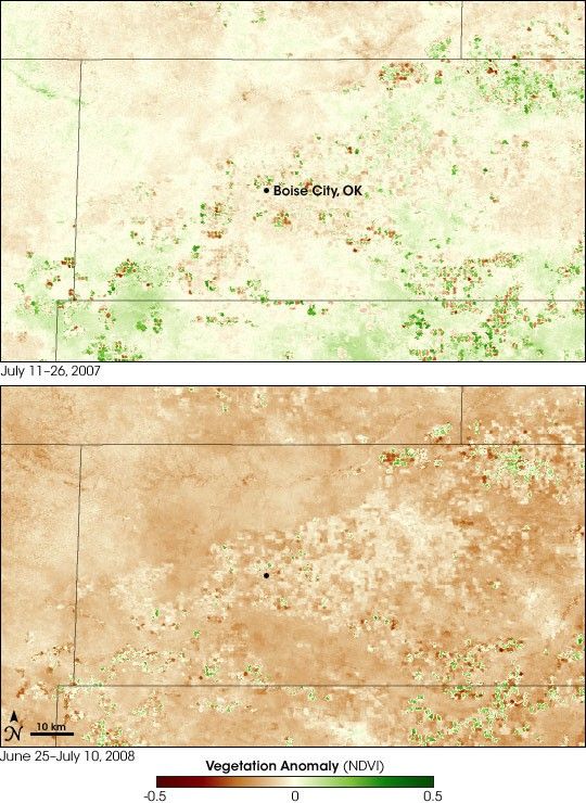 Drought Devastates Vegetation in Oklahoma Panhandle