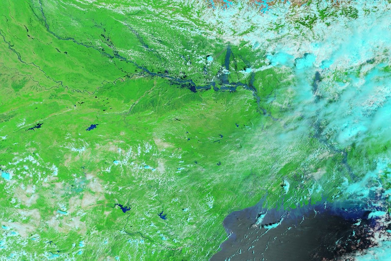 Terra MODIS