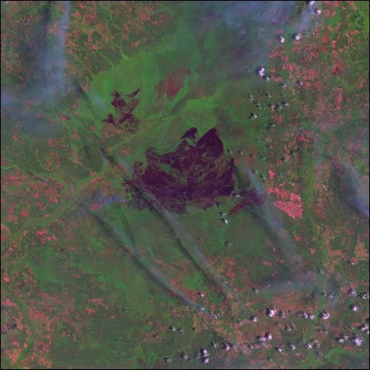 Blackjack Bay Fire in Okefenokee Refuge