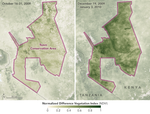 Prolonged Drought Spurs Elephant Starvation